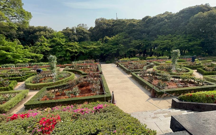 Furukawa Teien Western-style garden